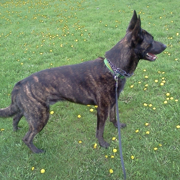 Meet your Posher - Picture 3 of 7